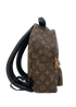 Mochila Palm, vista lateral